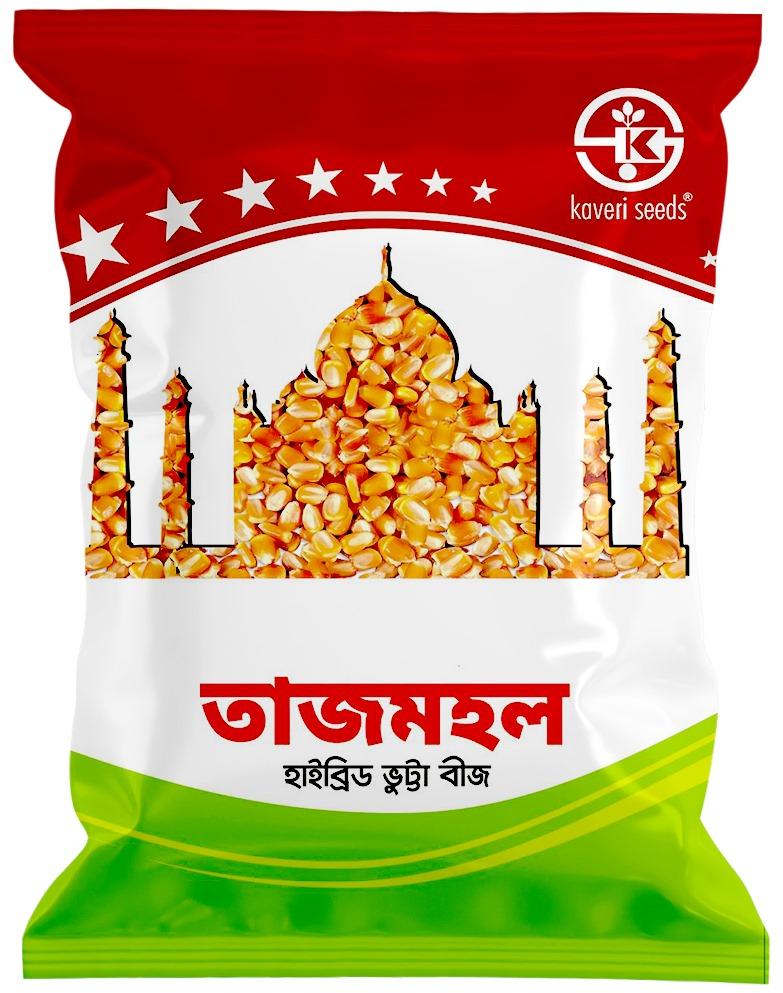 তাজমহল